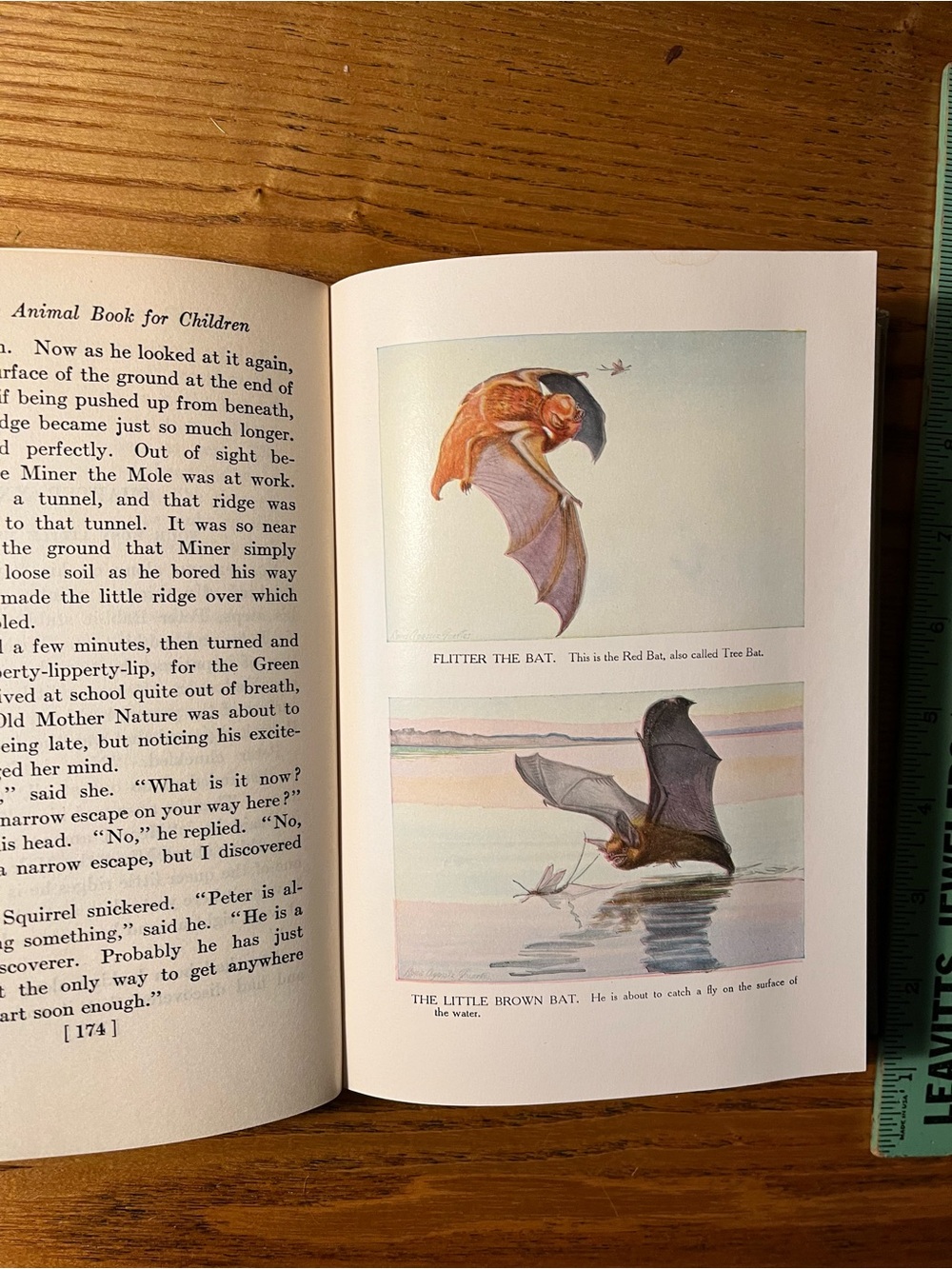 1920 Burgess Animal Book for Children - Hardcover color bookplates - Picture 8 of 16